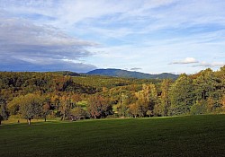 Riedlingen