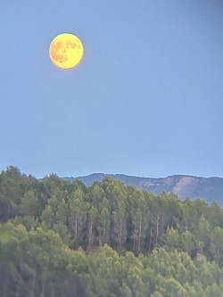Vollmond